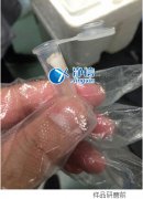 多樣品組織研磨儀研磨眼結(jié)膜提取rna實(shí)驗(yàn)